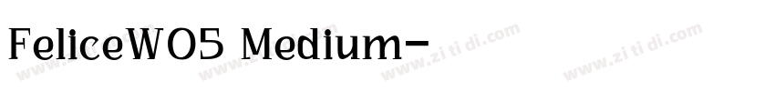 FeliceW05 Medium字体转换
